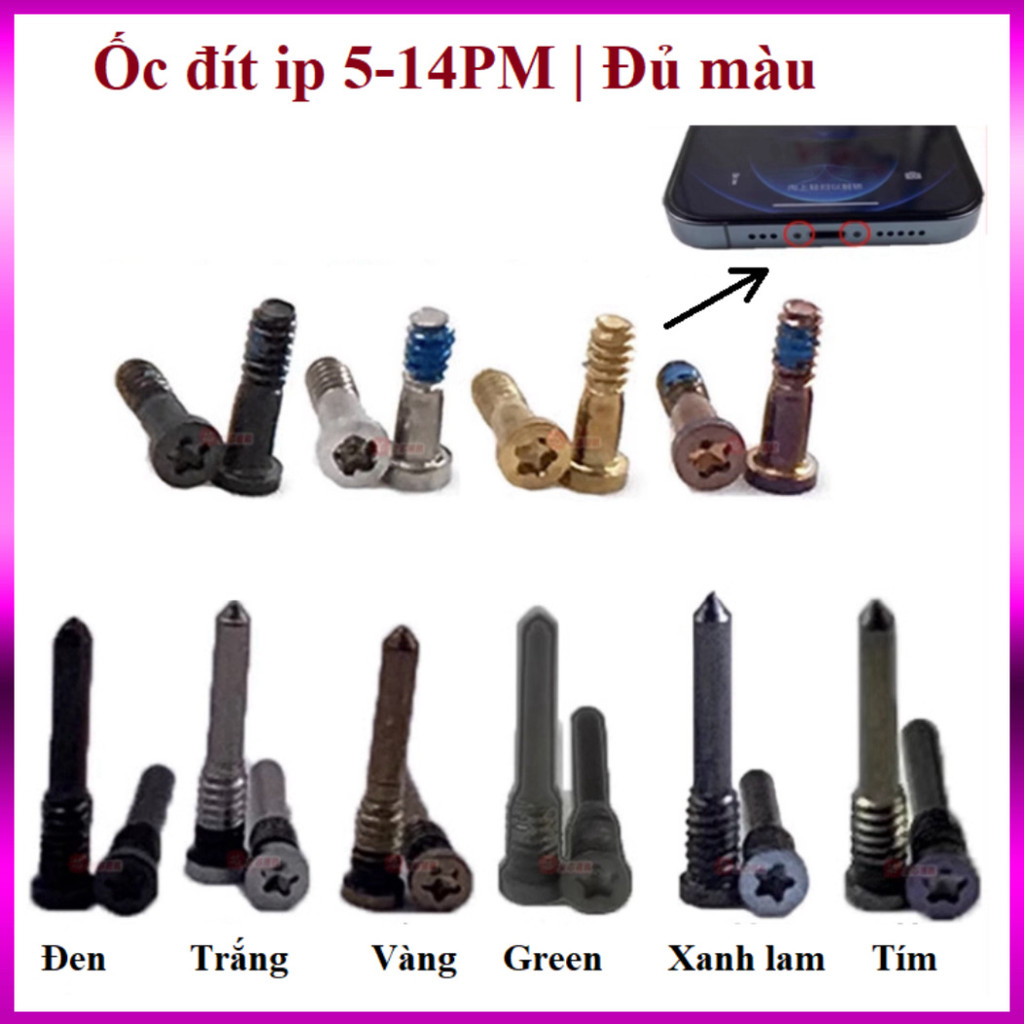 Ốc đuôi / ốc đít i.p (50c) đủ mã từ 4-15 | Đủ màu | Giá rẻ