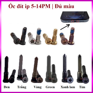 Ốc đuôi / ốc đít i.p (50c) đủ mã từ 4-15 | Đủ màu | Giá rẻ