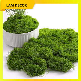  Rêu giả nhân tạo trang trí chậu cây tiểu cảnh sân vườn Cỏ giả decor mô hình Phụ kiện chụp ảnh 