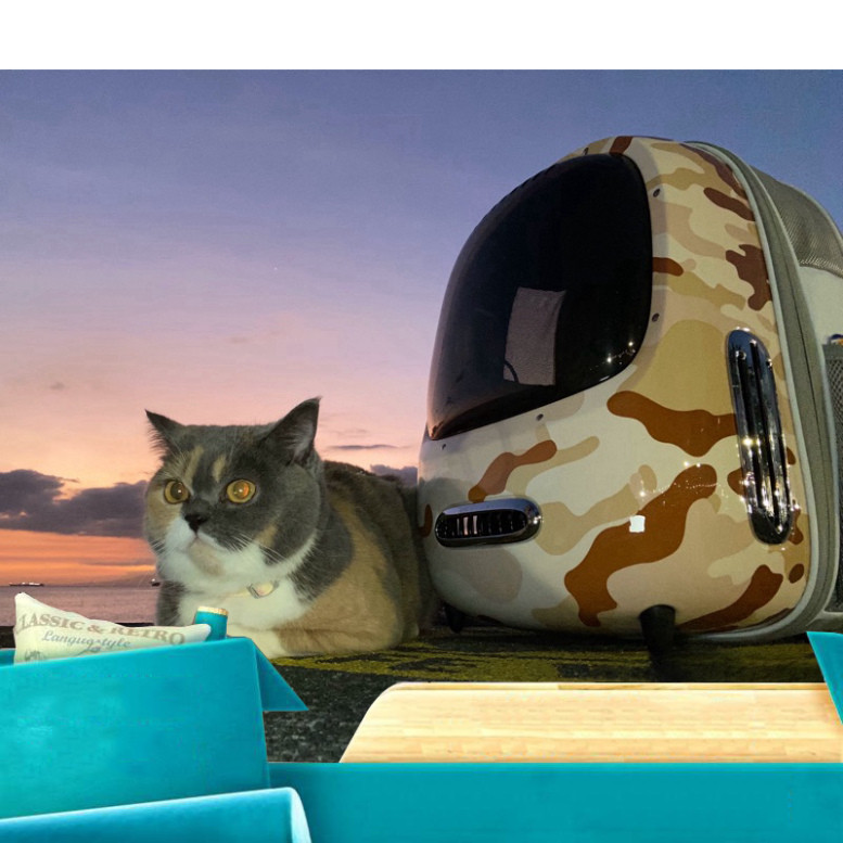 Balo Petkit Breezy 2 có quạt và đèn trang bị sẵn