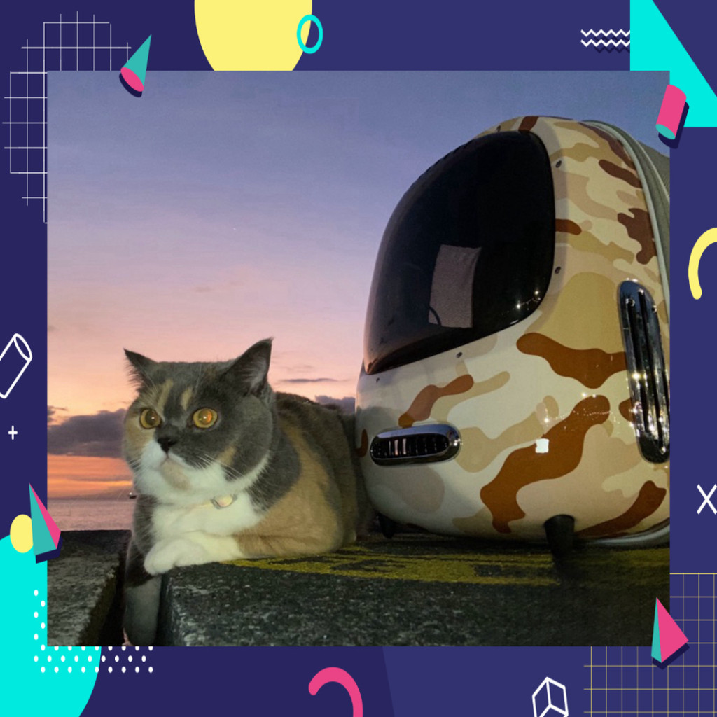 Balo Petkit Breezy 2 có quạt và đèn trang bị sẵn