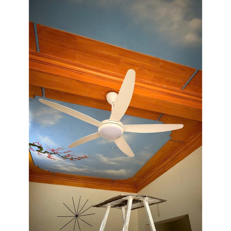 (Hàng chính hãng) Quạt Trần cao cấp có đèn chiếu sáng Asia model QT07-top sản phẩm quạt đẹp