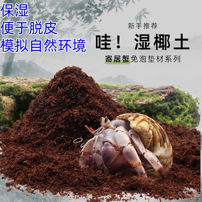 【Sợi vỏ dừa tự nhiên】Giảm giá đặc biệt, đất dừa cho cua ẩn sĩ, đất dinh dưỡng rêu, không cần ngâm, v