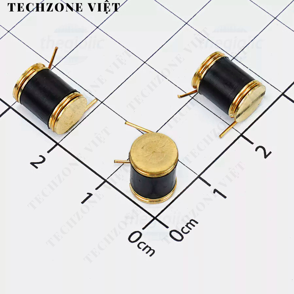 801S Cảm Biến Rung TechZone Việt