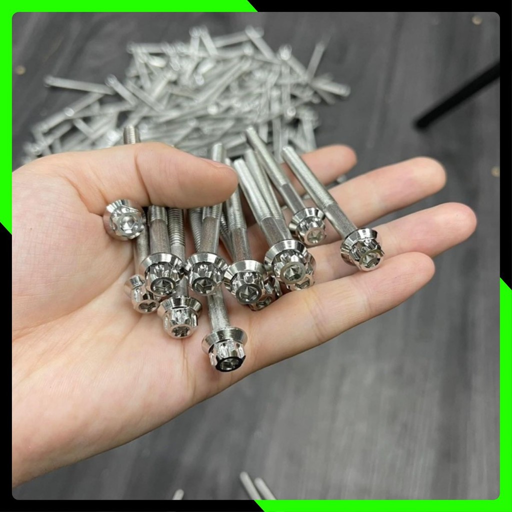 Bộ 21 con ốc SALAYA gắn full lốc máy Ex150/155/135/2010 [GIÁ CẠNH TRANH]