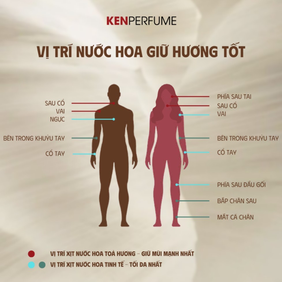 10ML Lattafa Pride Nebras EDP | Nước Hoa Unisex | Thế giới nước hoa