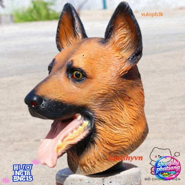 Sừng Mặt Nạ Chó Becgie Dễ Chăm Sóc Cá Tính