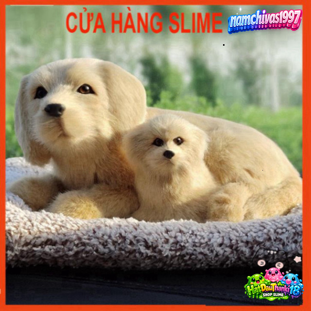 Chó Bông M72 Cún Mềm Mỏng Món Cute Đôi Mẹ Con

Hoặc:

Chó Bông M72 Đôi Mẹ Con Mềm Mỏng CUTE

Hoặc:

