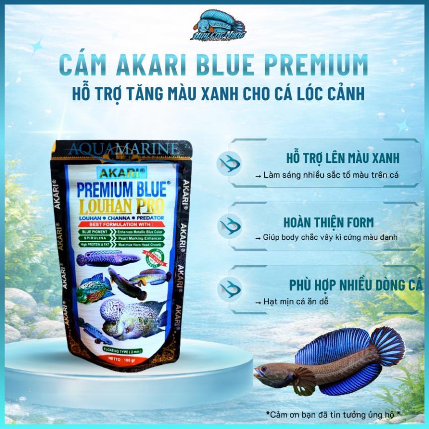 Cám AKARI Blue Premium | Nhập Khẩu Indonesia – Tăng Màu Xanh Cho Cá Lóc Lạnh | HLN Channa Fish