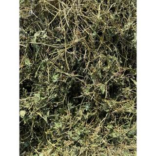 Dây khổ qua rừng( Dây mướp đắng rừng) khô sạch
