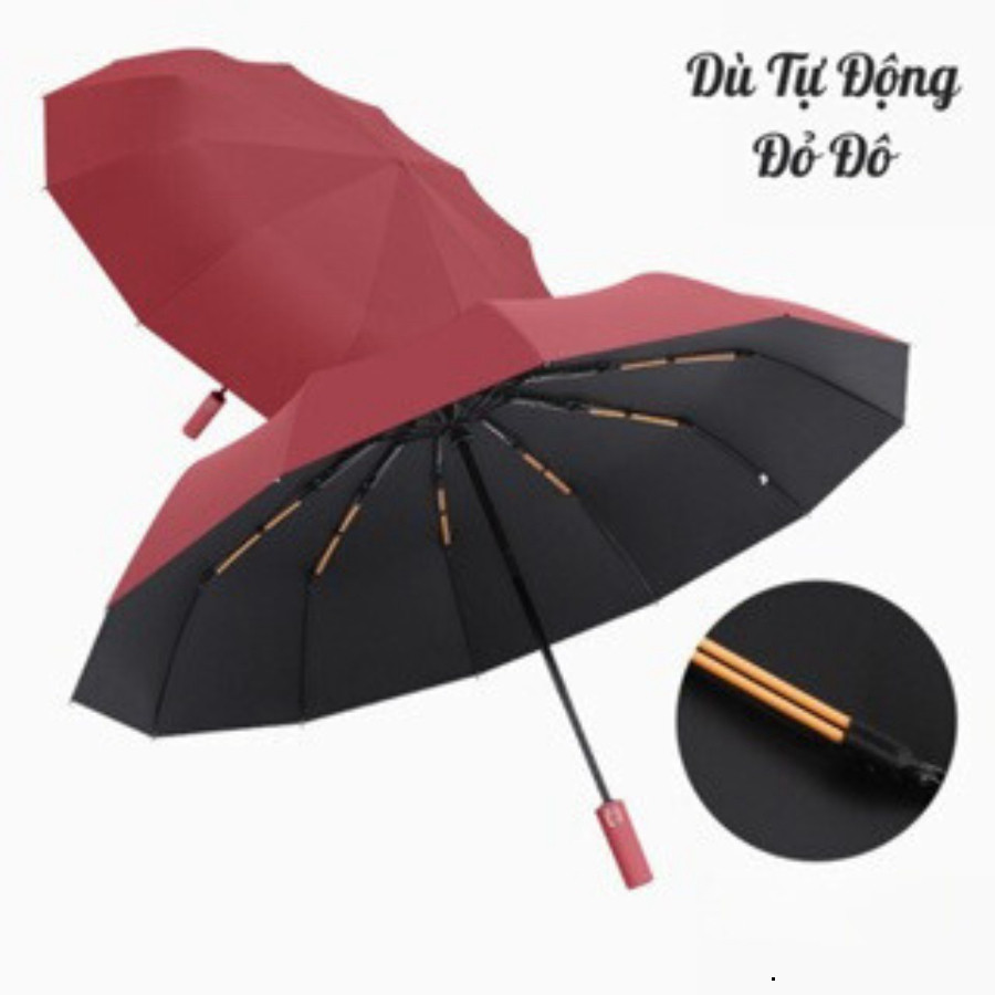 Ô Dù Tự Động Đóng Mở 2 Chiều Ô Dù 10 Nan Kép (20 Nan) Cao Cấp Gấp Gọn Che Mưa Che Nắng Chống Tia UV