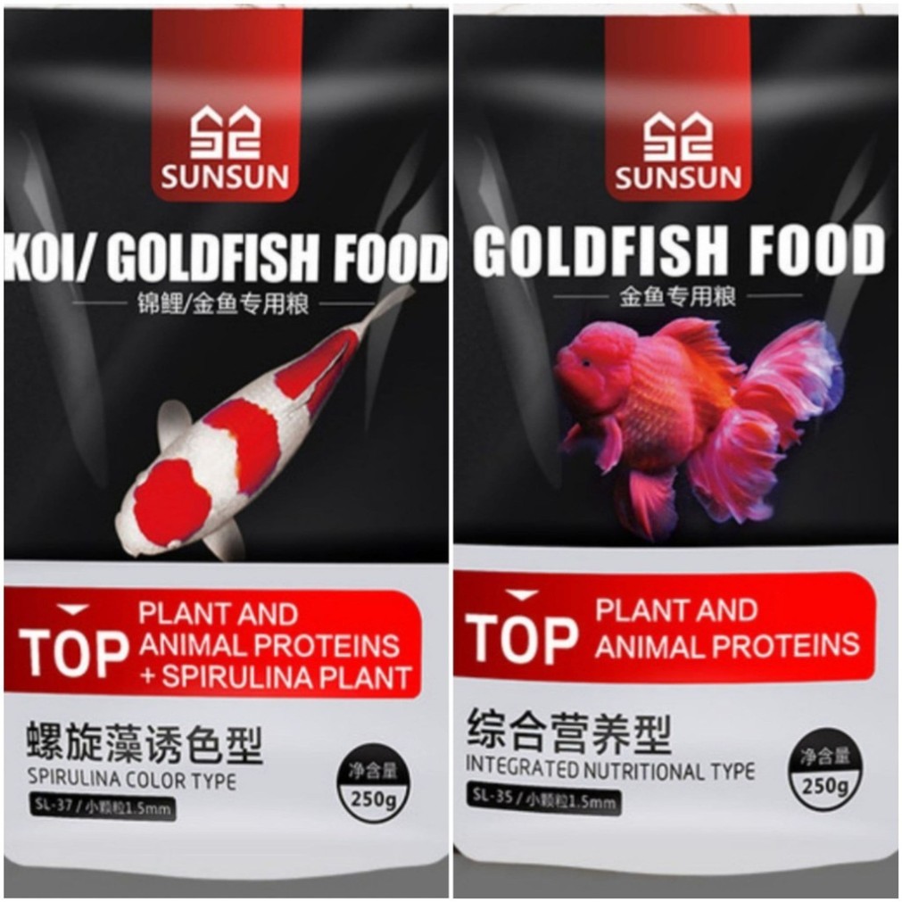 CÁM CÁ VÀNG- CÁM CÁ KOI- CÁM RANCHU CÁ BA ĐUÔI