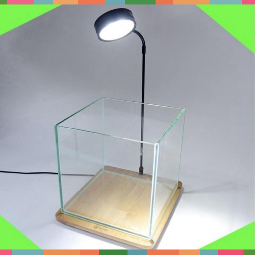 Đèn LED Đế Gỗ Cho Bể Cá Cảnh Thủy Sinh, Bể Bán Cạn, Bể Terrarium