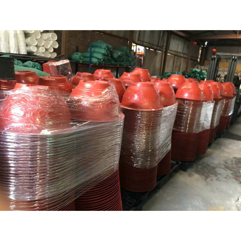 Chậu nhựa trồng cây Phúc lộc thọ T48 , chậu trồng hoa cây cảnh | Chị An Home