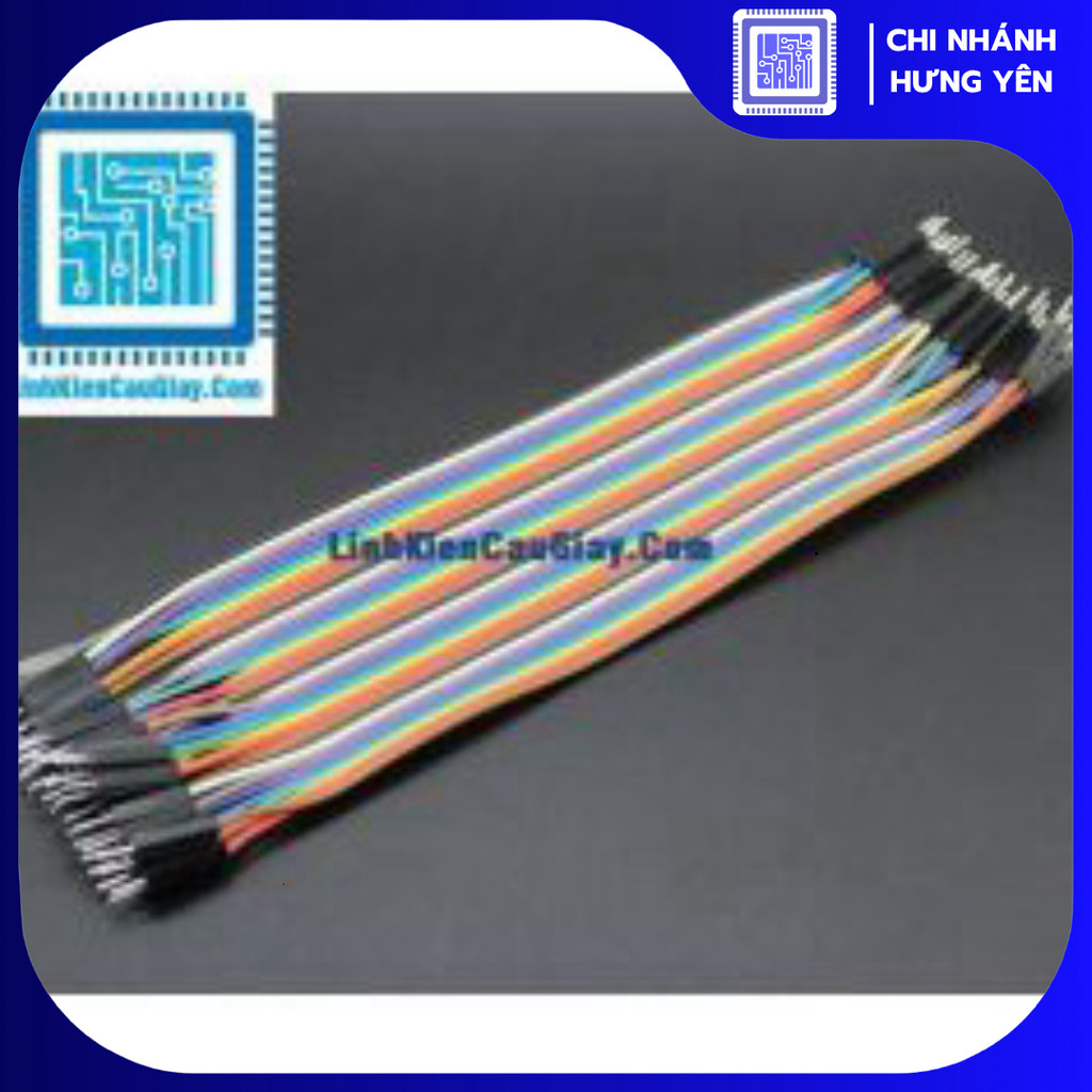 Dây Bus 20CM (10 Sợi)