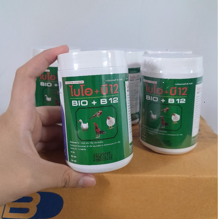 Gà Con Úm Bio - B12 Thai Bio Chuyên Kháng Bệnh Ăn Tốt Khỏe Mạnh