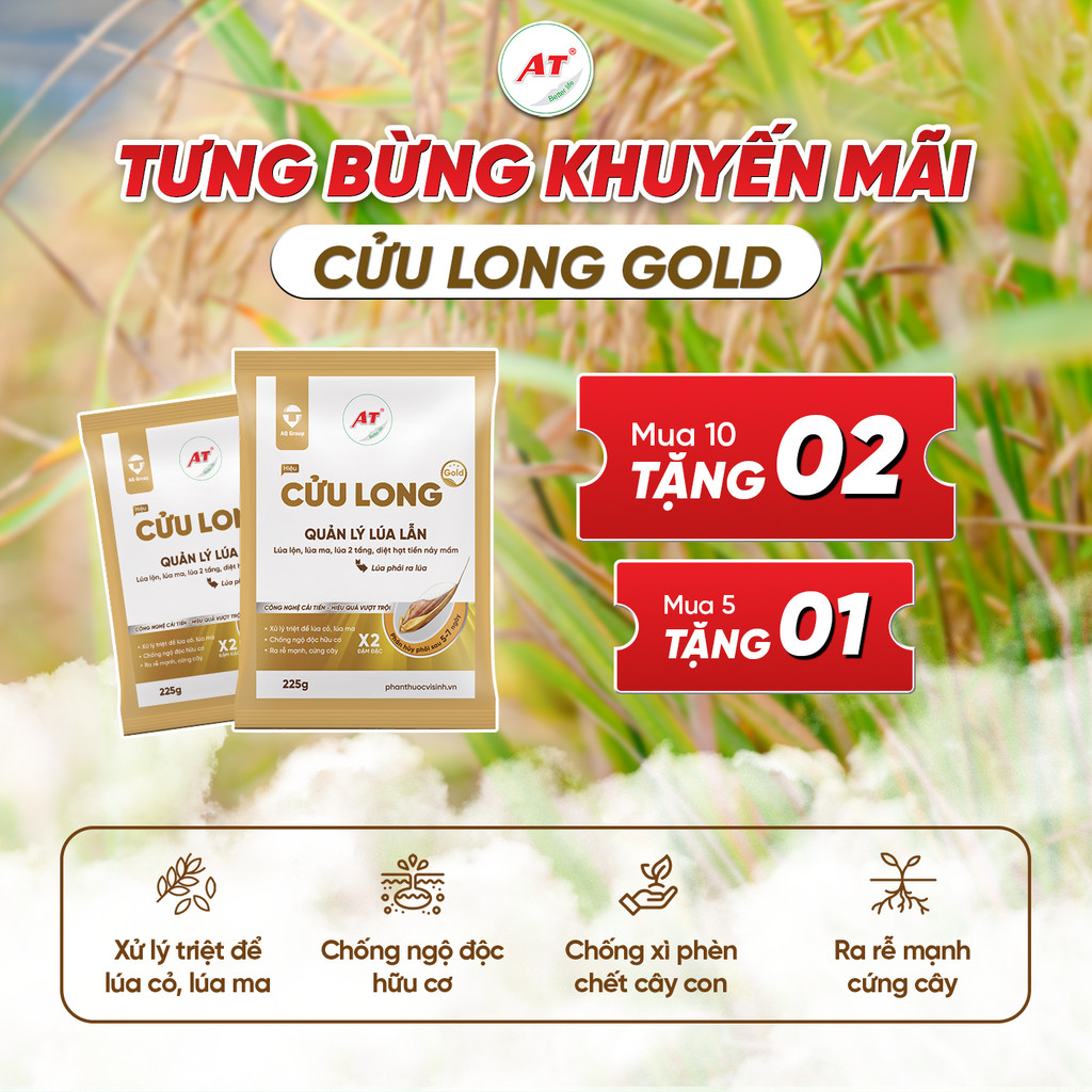 Cửu Long Gold – Xử lý lúa lộn, lúa cỏ, lúa ma, chống xì phèn, chết cây con