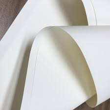 [Hỏa tốc] 20 tờ Giấy in A0 (79 x 109cm) 80gsm