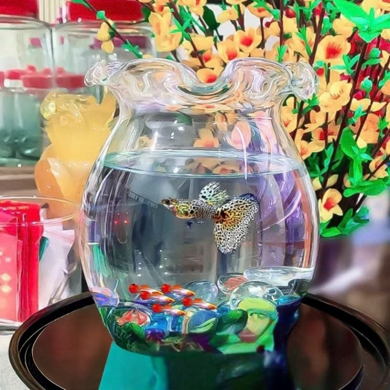 (Hỏa Tốc) BÌNH THỦY TINH NUÔI CÁ ĐỂ BÀN, CHẬU CÁ THỦY TINH MINI, BÌNH THỦY TINH TRỒNG CÂY THỦY SINH 