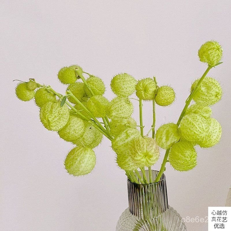 Cây cảnh nhân tạo hình quả đèn lồng xanh, quả cá nóc, thiết bị trang trí cảnh quan cao cấp, vật liệu