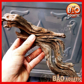 1kg Lũa Thuỷ Sinh Lũa San Đá Miếng Lũa trang trí bể cá