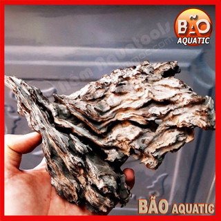Lũa Săn Đá 1kg Trang trí cho bể cá Thủy Sinh Vân Lũa Cực Đẹp