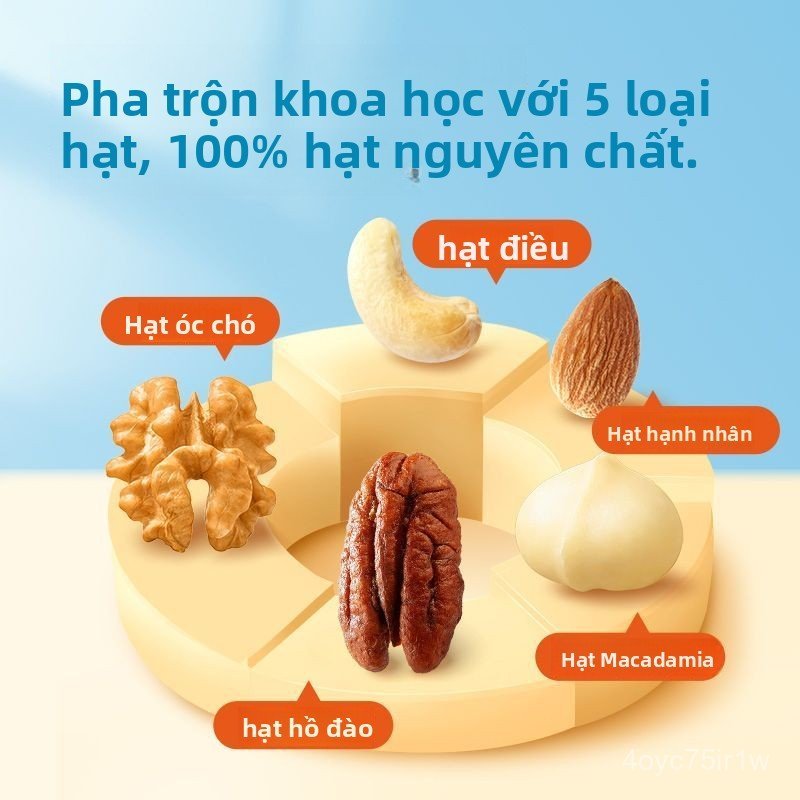 Hỗn hợp hạt dinh dưỡng Bestore Vitality495g Bữa ăn thay thế bữa sáng, bổ dưỡng, lành mạnh, thỏa mãn,