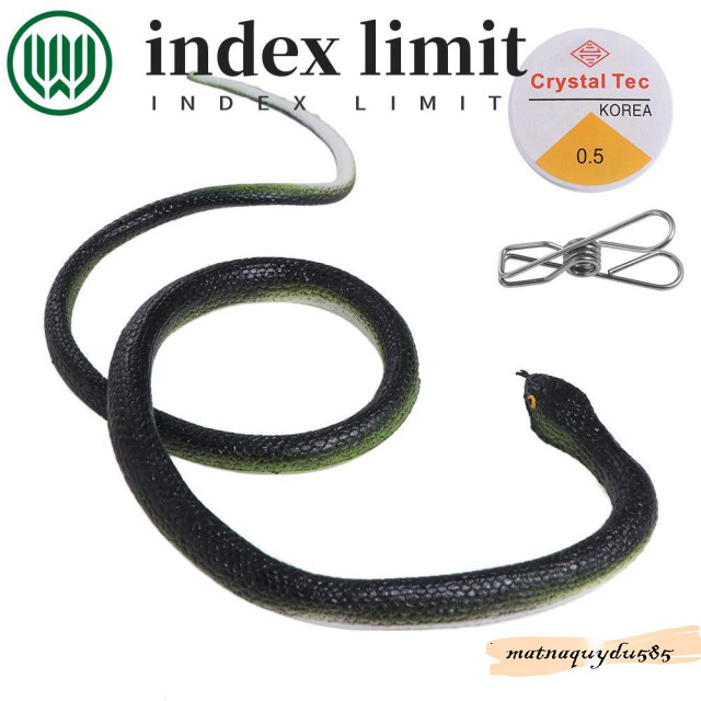 Mô Phỏng Rắn Đồ Chơi Xảo Quá Đáng Sợ Đại Diện Anaconda Quà Tặng Đuổi Theo Mọi Người.