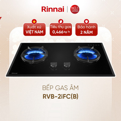 [CHÍNH HÃNG] Bếp gas âm đầu đốt trong Rinnai RVB-2iFC(B)