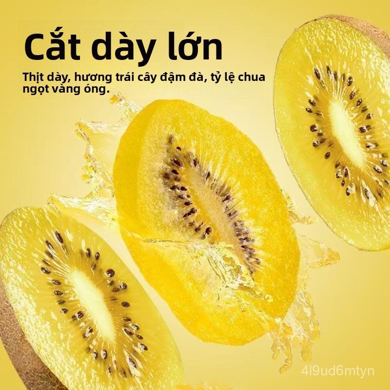 Kiwi vỏ vàng, đặc sản của Thiểm Tây, kiwi vàng nguyên bản, món ăn vặt mùa hè vỏ vàng sẵn sàng để ăn,