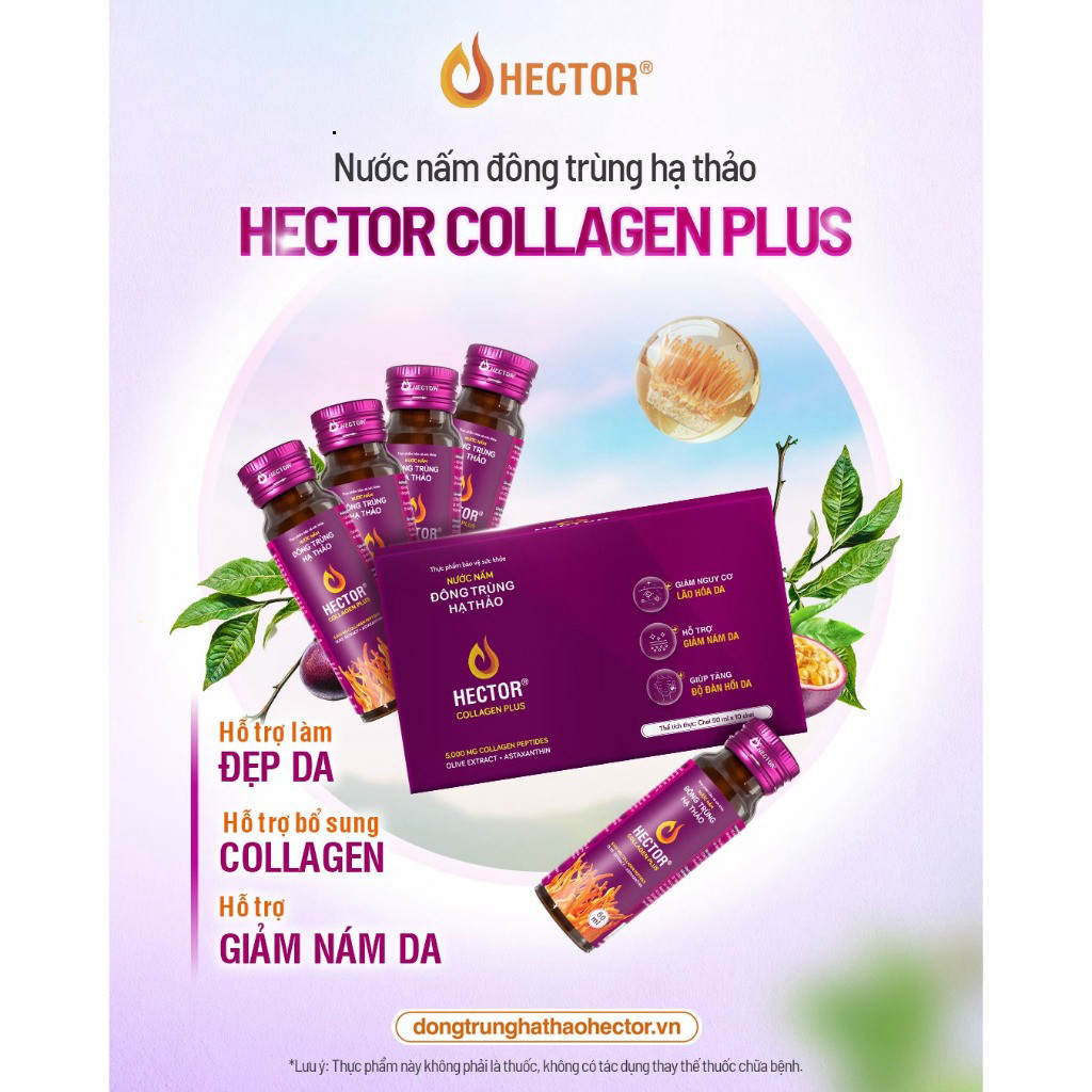 (TẶNG 1 GÓI HECTOR ) Nước Nấm Đông Trùng Hạ Thảo Hector Collagen Plus (hộp 10 chai) (Shopkhoedep)