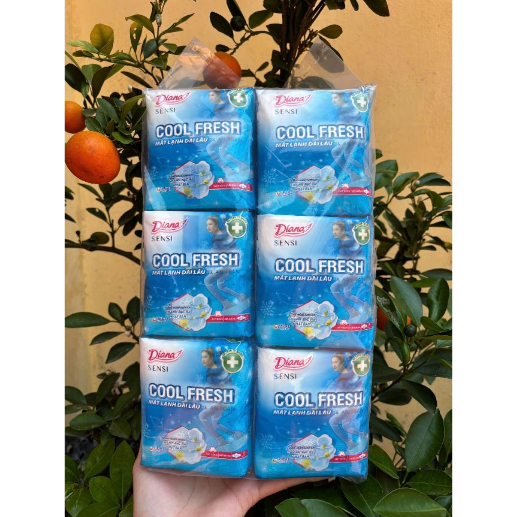 (Siêu tiết kiệm ) Lốc 6 gói( 48 miếng) Băng Vệ Sinh Dianna sensi Cool Fresh 23cm siêu Mỏng có cánh m