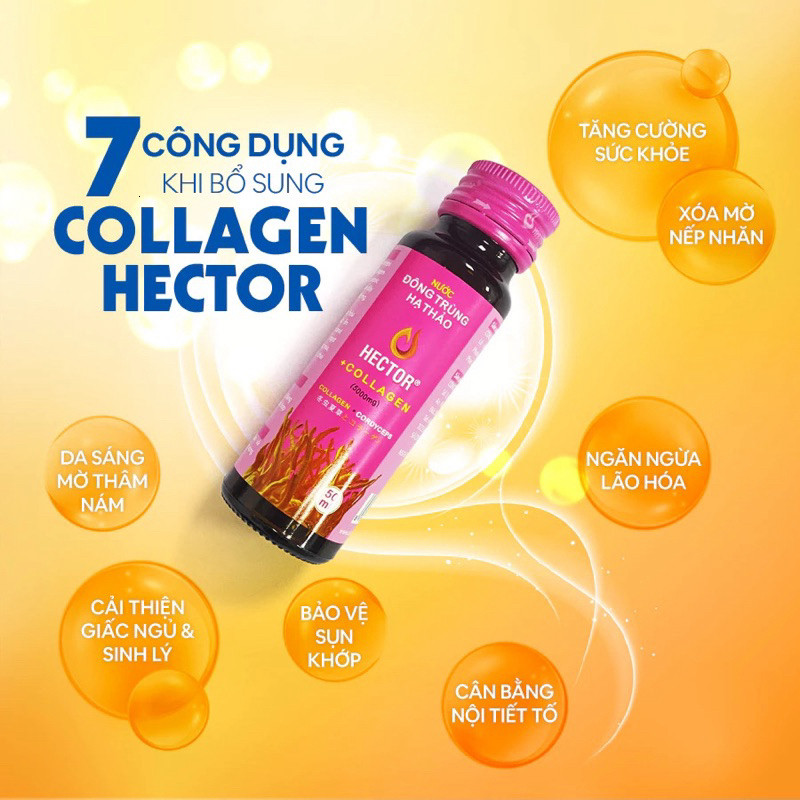 [💯 Chính hãng] Nước Nấm Đông Trùng Hạ Thảo Hector Collagen (Mộc)