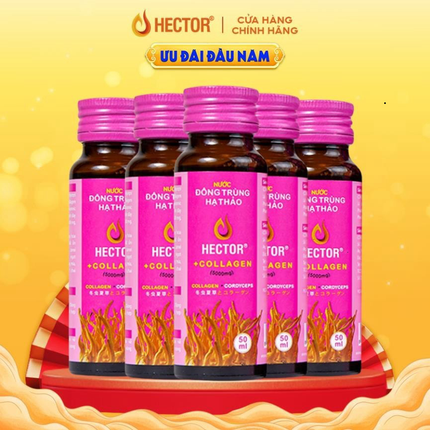 Nước uống collagen đông trùng hạ thảo Hector hộp 10 chai (Mộc)