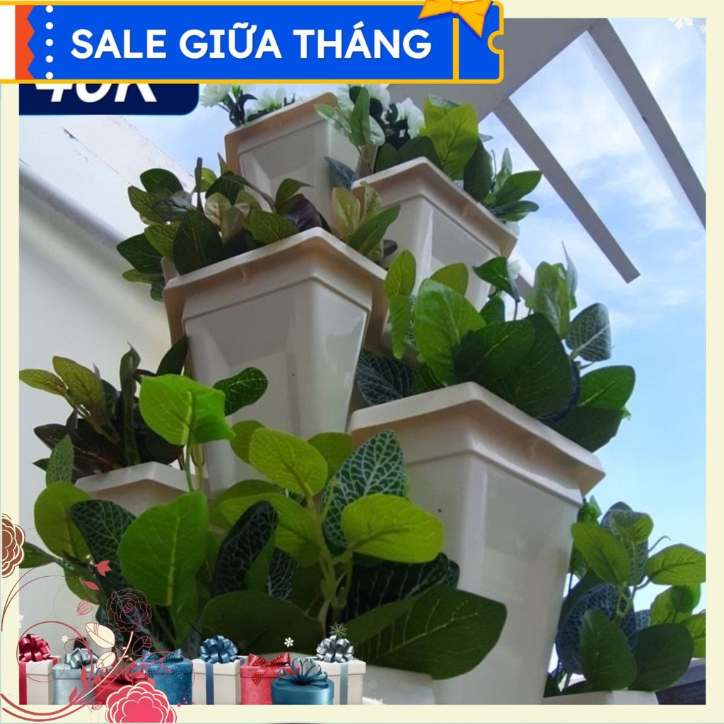 Đúng hàng đúng chất lượng combo 5 châu trồng cây dậy dặn cao cấp Chữ tín quý hơn vàng