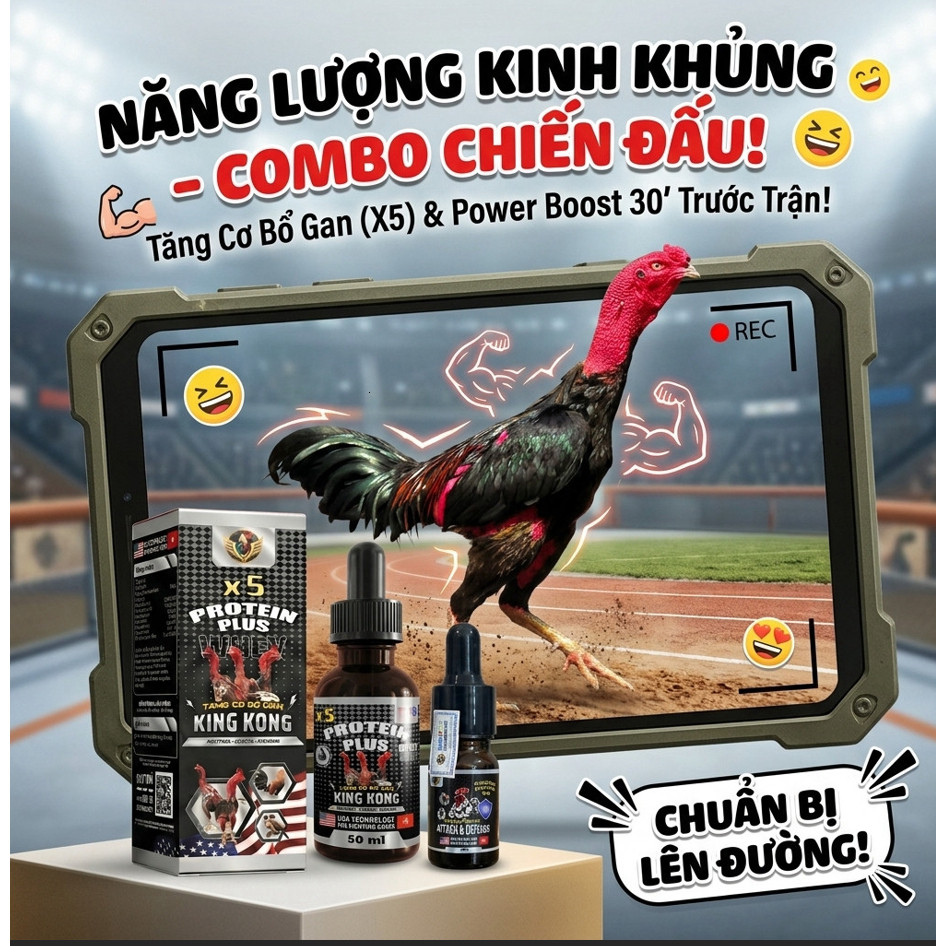 Gà khỏe -gà sung. tăng cơ bổ gân X5 kingkong combo 2 lọ.