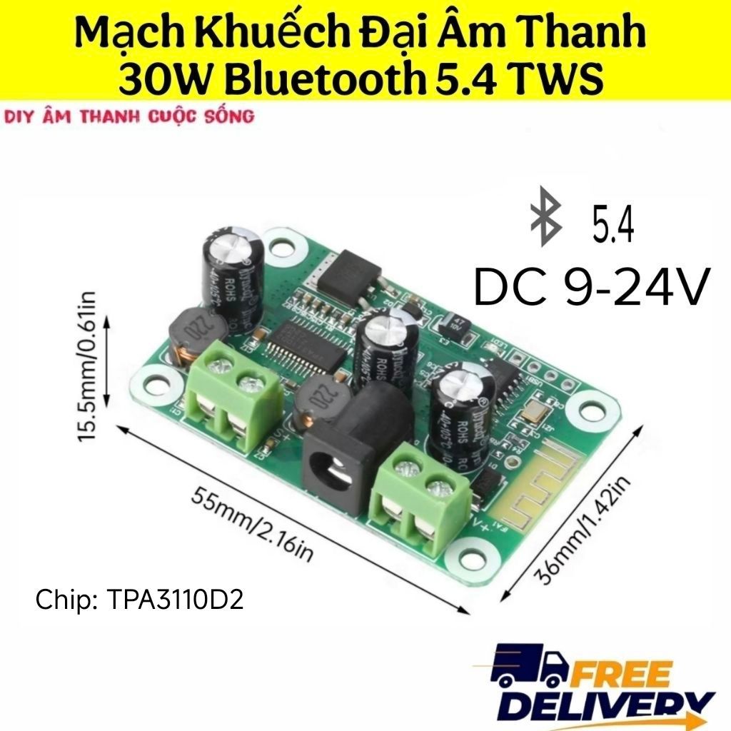 𝗪𝗜𝗡𝟲𝟵𝟵 𝟯𝟬𝗪 𝗧𝗪𝗦 Mạch Khuếch Đại Âm Thanh Bluetooth 5.4 TPA3110D2 Mono 1 Kênh Loa Diy