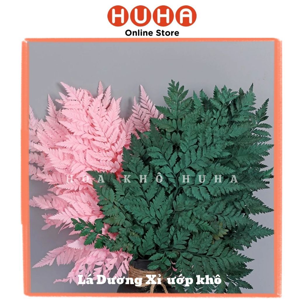 LÁ DƯƠNG XỈ ƯỚP KHÔ DECOR, TRANG TRÍ, CHỤP ẢNH STUDIO (1 LÁ TO) hhh LILY SHOP