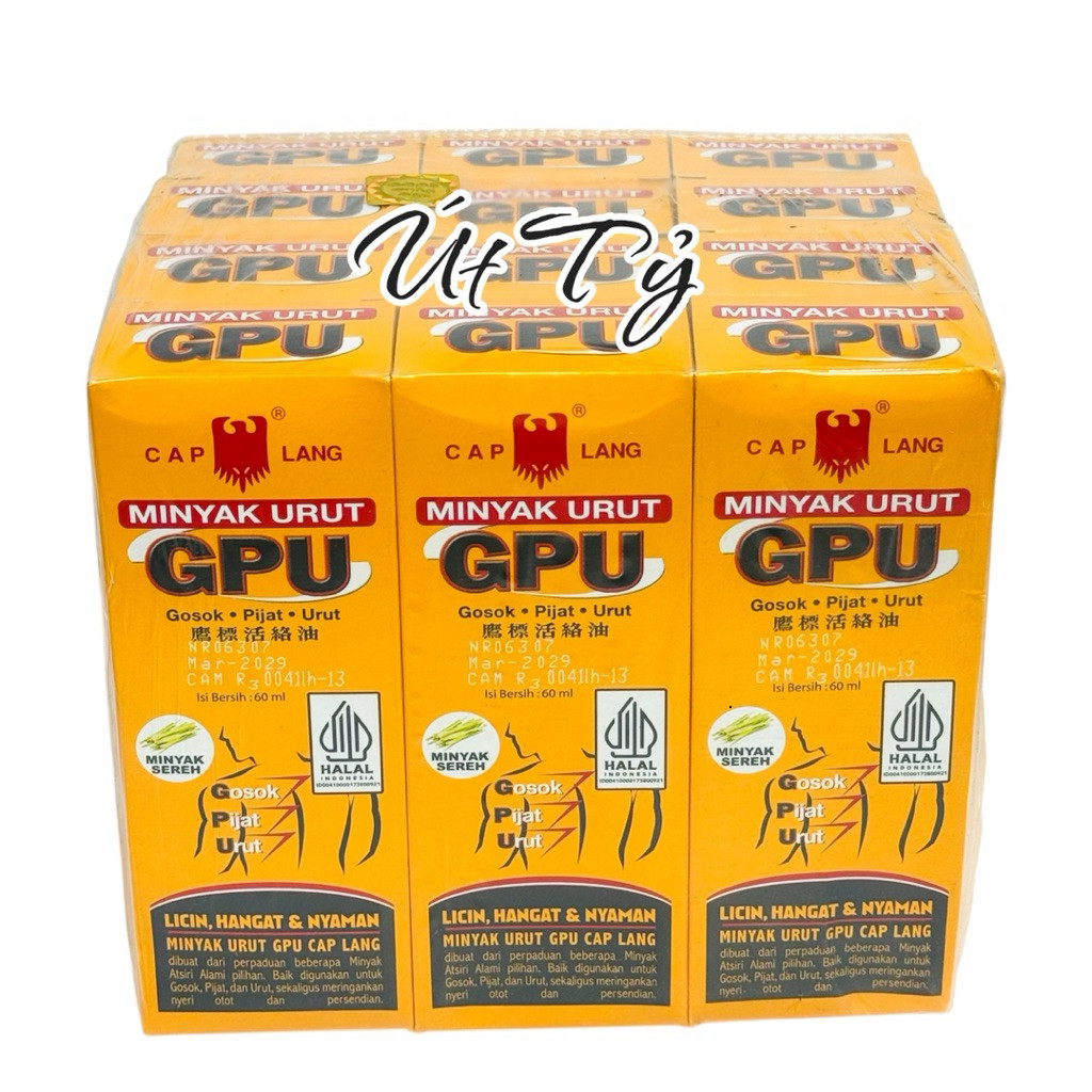 COMBO 12 CHAI DẦU GỪNG GPU