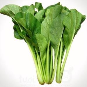 # Gói 10g  HẠT GIỐNG CẢI NGỌT CAO SẢN F1