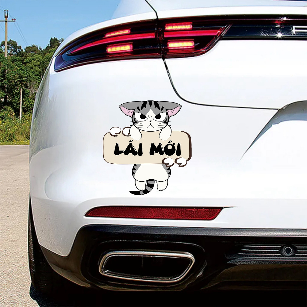 Dán Xe Oto Mẫu Mèo Cute in chữ LÁI MỚI chống nước, dán xe oto, trang trí Oto in hình theo yêu cầu, i