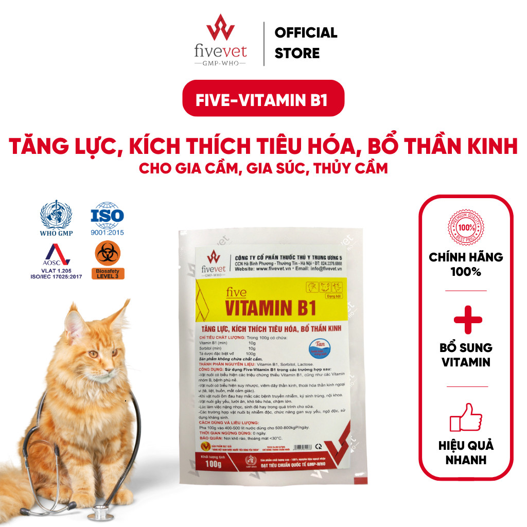 Five-Vitamin B1 (bột) Tăng lực, kích thích tiêu hóa, bổ thần kinh