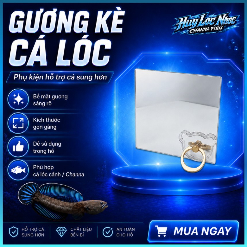 Gương Kè Cá Lóc 2 Chiều - Kích Thích Sung Mãn, Tăng Bản Năng Săn Mồi, Hỗ Trợ Tập Cá Hiệu Quả