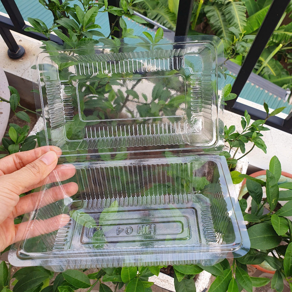 100 Hộp Nhựa Trong Suốt Dùng 1 Lần H04 Đựng Bánh, Salat - H04 To - H04 Bé