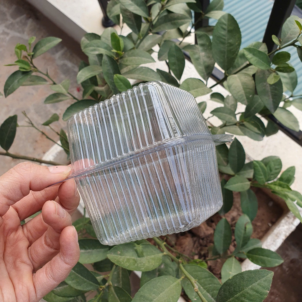 Lốc 100 cái Hộp Nhựa Hình Vuông Đựng Bánh H17