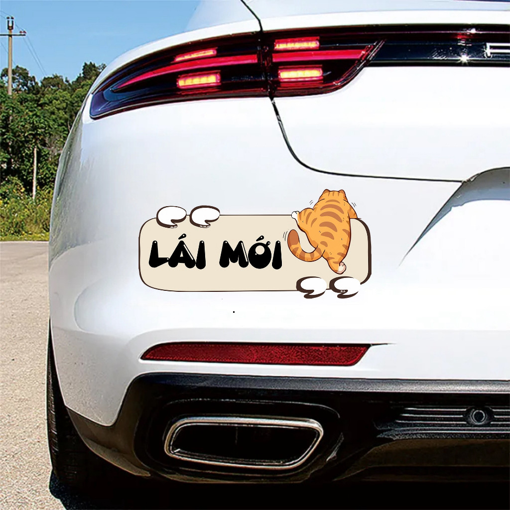 Dán Xe Oto Mẫu Mèo Cute in chữ LÁI MỚI chống nước, dán xe oto, trang trí Oto in hình theo yêu cầu, i