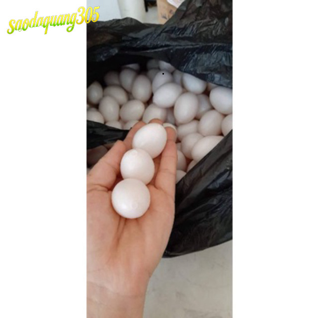 Trứng Giả 1 Loại Dùng Cho Chim Bồ Câu Gà Tre Giúp Tăng Mệt First 4-6 words describe product type. Re