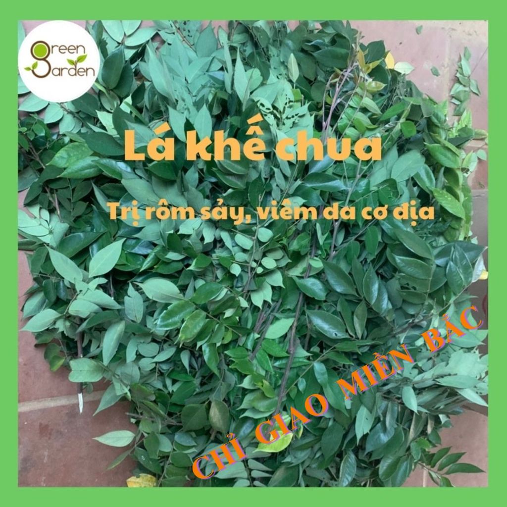 Lá khế tươi tắm cho bé, lá khế chua tắm rửa khi mẩn ngứa, CÓ ĐƠN MỚI HÁI,  MUA 5KG TẶNG 1 KG