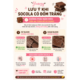 Socola Kisses Hershey's 36G