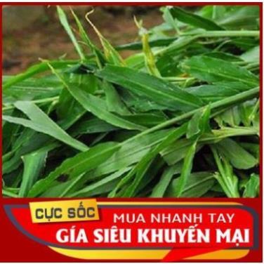 100g Lá gừng Tươi  làm gia vị thức ăn hoặc dược liệu trong dân gian y học dân tộc